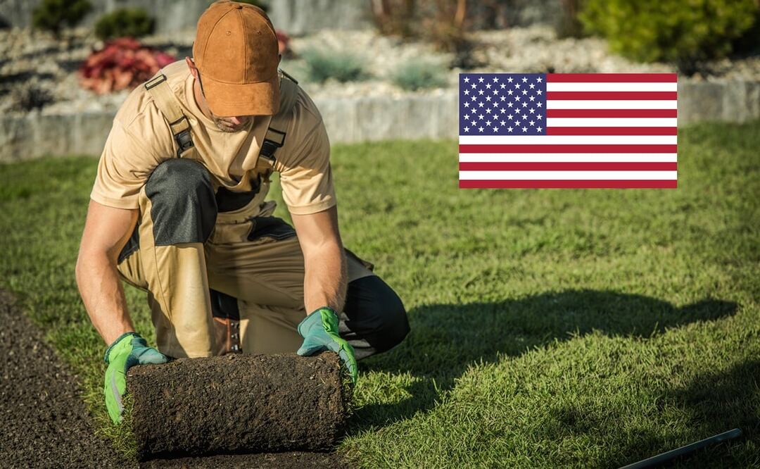 Trabajadores hispanos en EU siguen teniendo los menores ingresos pese a alza del 4.9 %. iStock/Welcomia
