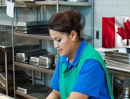 Sin inglés ni francés: buscan obreros mexicanos para trabajar en Canadá por $75,000