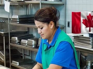 Sin inglés ni francés: buscan obreros mexicanos para trabajar en Canadá por $75,000