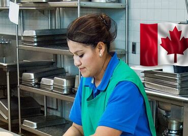 Sin inglés ni francés: buscan obreros mexicanos para trabajar en Canadá por $75,000