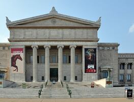Los mejores seis museos que no te puedes perder en Chicago
