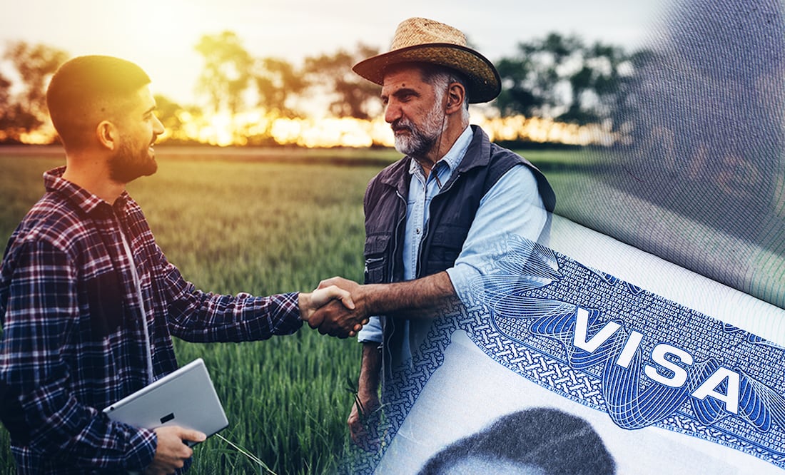 Visa americana H-2A: Requisitos. Foto: iStock