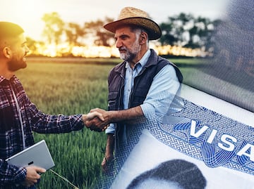 Las 10 principales empresas de Estados Unidos que contratan trabajadores agrícolas en 2024