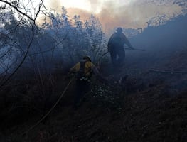 Incendios en Los Ángeles. Bomberos reclusos, en primera línea para combatir el fuego
