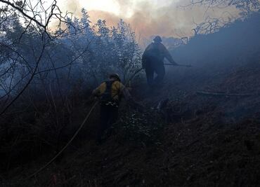 Incendios en Los Ángeles. Bomberos reclusos, en primera línea para combatir el fuego