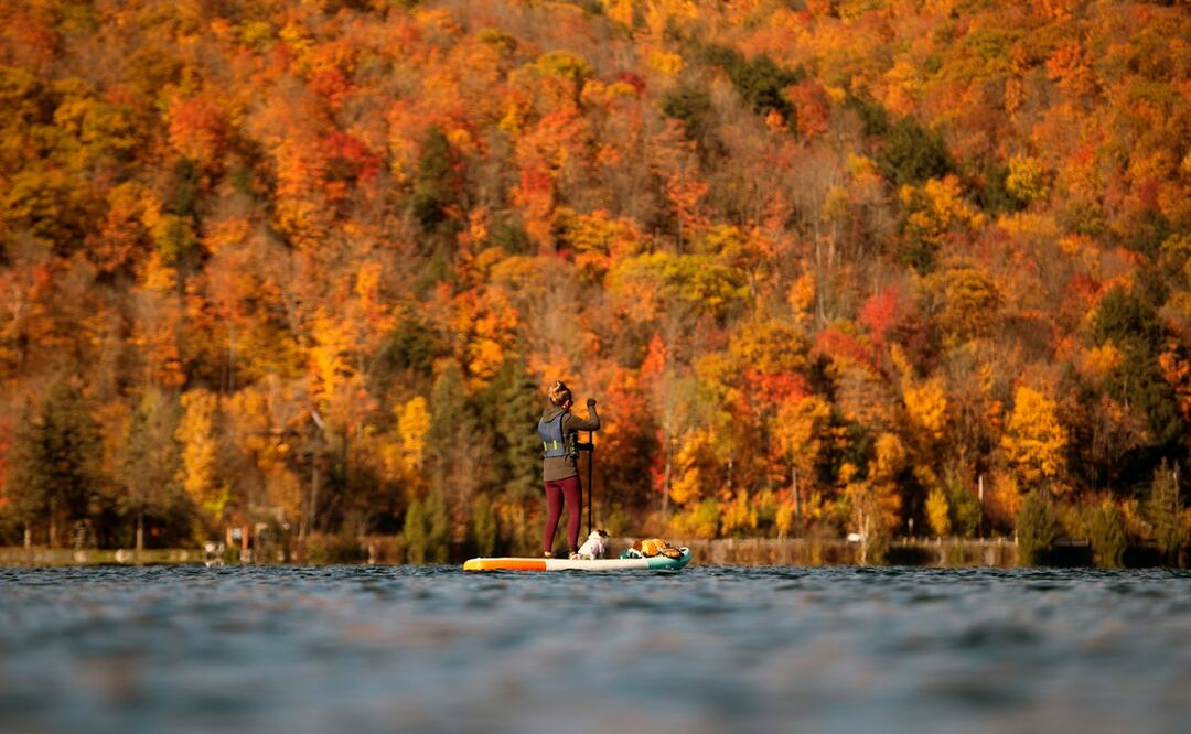 The Canadian Press via AP