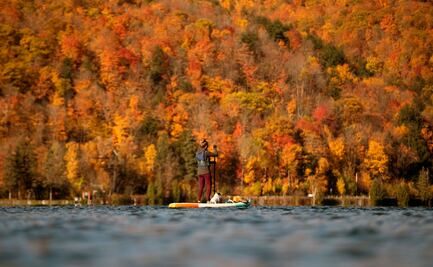 Canadá celebra su Día de Acción de Gracias más inusual en pandemia