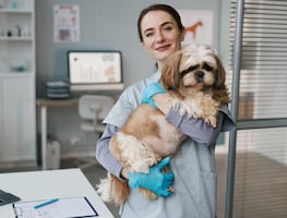 Estados Unidos da empleo a veterinarios con sueldo de $41,000 pesos y alojamiento