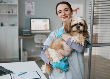 Estados Unidos da empleo a veterinarios con sueldo de $41,000 pesos y alojamiento