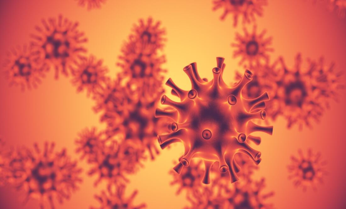 Bacteria carnívora se propaga en Japón, ¿es mortal? Foto: iStock / Cinefootage Visuals