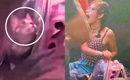 ¡Indignante! Joven lleva a su gatito al antro y lo somete a altos niveles de estrés. VIDEO