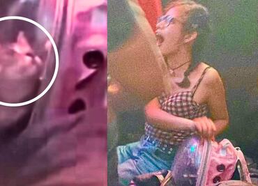 ¡Indignante! Joven lleva a su gatito al antro y lo somete a altos niveles de estrés. VIDEO