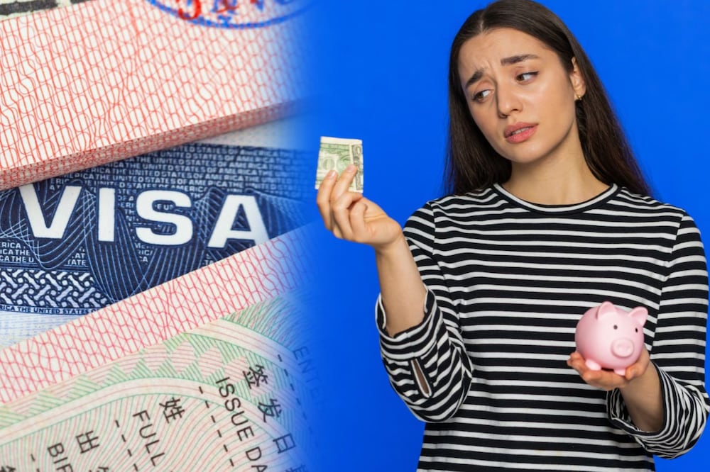 Visa/ iStock/a_Taiga/ Andrii Iemelyanenko