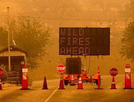 Incendio se acerca a las secuoyas gigantes de California