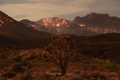 El 2023, el año más cálido, "un simple aviso" de un futuro catastrófico: ONU