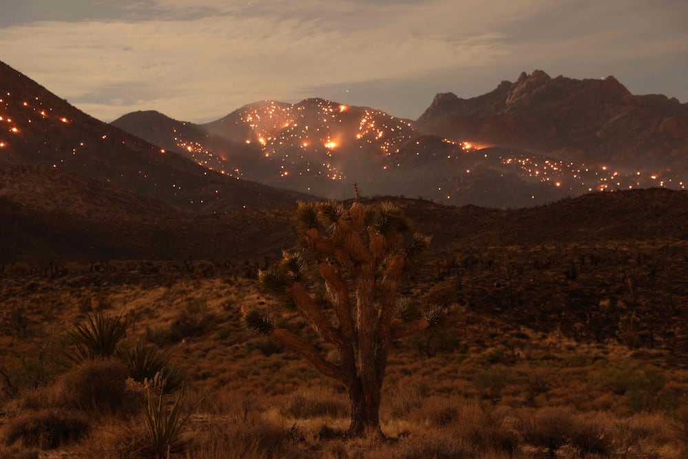 El 2023, el año más cálido, "un simple aviso" de un futuro catastrófico: ONU. (Photo by DAVID SWANSON / AFP)