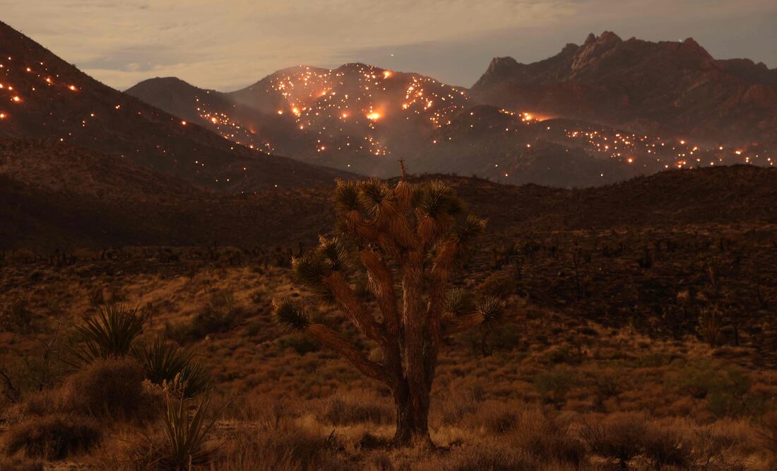 El 2023, el año más cálido, "un simple aviso" de un futuro catastrófico: ONU. (Photo by DAVID SWANSON / AFP)