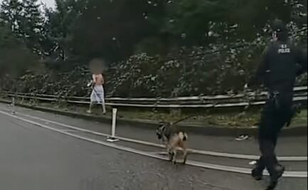 Agente abate a hombre que mató a perro policía con un machete en Seattle