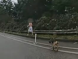 Agente abate a hombre que mató a perro policía con un machete en Seattle