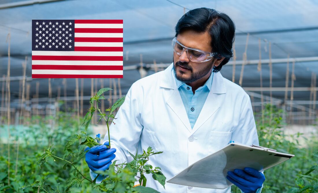 Solicitan mexicanos para trabajo en la Embajada de Estados Unidos; pagan $745,072 anuales. iStock/lakshmiprasad S