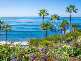 ¿Cuándo es el Spring Break 2025? Mejores playas de California para disfrutarlo