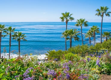 De San Diego a San Francisco: Lugares para visitar en un road trip por la Costa de California
