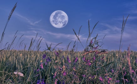 Lluvia de meteoritos Eta Acuáridas, una Microluna de flores y otros fenómenos astronómicos de mayo