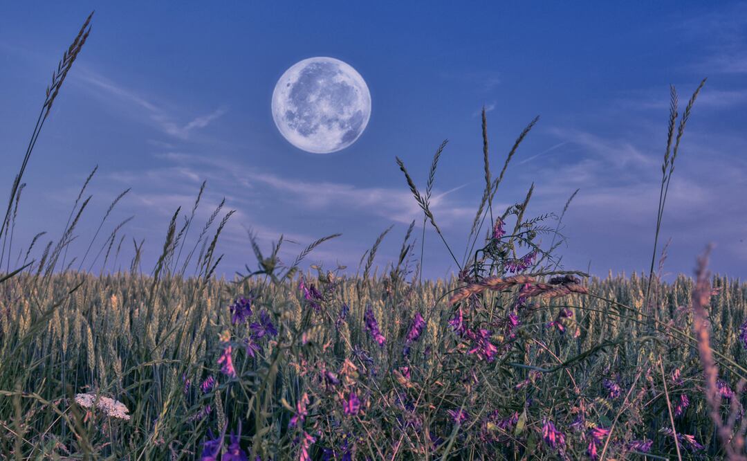 Lluvia de meteoritos Eta Acuáridas, una Microluna de flores y otros fenómenos astronómicos de mayo. Foto: Canva