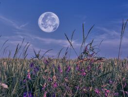 Lluvia de meteoritos Eta Acuáridas, una Microluna de flores y otros fenómenos astronómicos de mayo