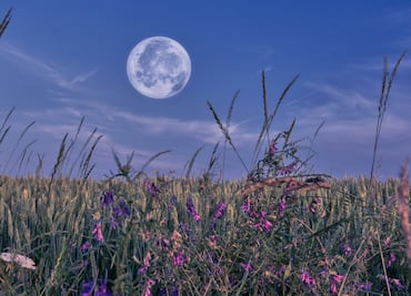Lluvia de meteoritos Eta Acuáridas, una Microluna de flores y otros fenómenos astronómicos de mayo