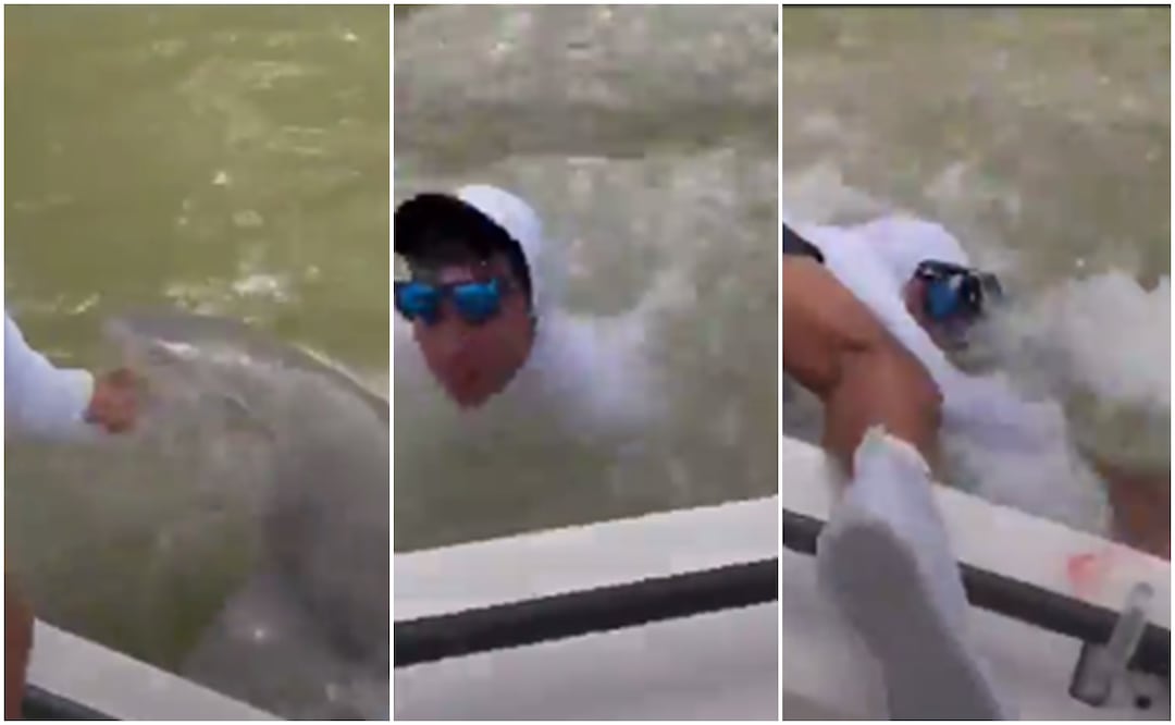 Hombre es mordido y arrastrado por tiburón en los Everglades de Florida. Foto: Twitter