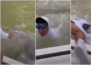 Captan dramático momento en que hombre es mordido y arrastrado por tiburón en Florida