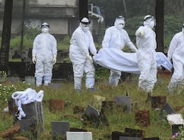 Alertan por Virus Nipah. ¿Qué es, cómo se cura? ¿Es letal?