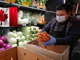 Buscan mexicanos para trabajar en supermercado de Canadá (sin inglés)