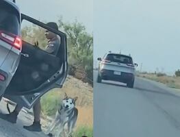 Video. Arrestan a hombre por abandonar a su perro en la orilla de la carretera