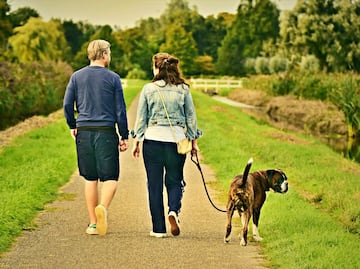 ¿Cuáles son los beneficios de caminar diariamente?