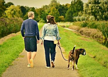 ¿Cuáles son los beneficios de caminar diariamente?