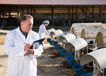 Pagan $45,000 a veterinarios mexicanos que quieran TRABAJO en CANADÁ: estos son los requisitos