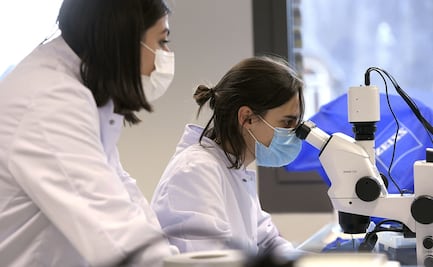 Una vacuna mediante un parche cutáneo neutraliza el SARS-CoV-2 en ratones