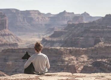 De Las Vegas al Gran Cañón: un tour para ti y tu perro