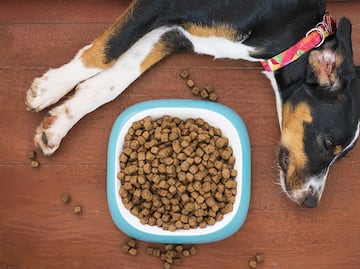 Retiran alimento para perro por altos niveles de vitamina D