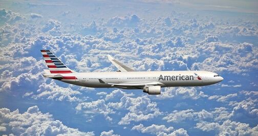 Pasajera viaja con poni de servicio y causa sensación en el avión 