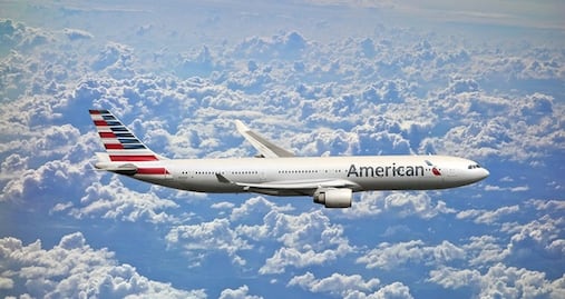 Pasajera viaja con poni de servicio y causa sensación en el avión 