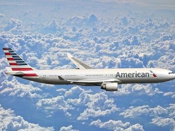 Pasajera viaja con poni de servicio y causa sensación en el avión