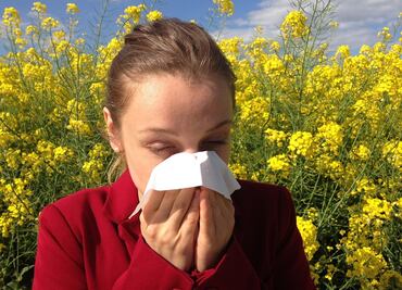 Estas son las diferencias entre las alergias y los síntomas de Covid-19