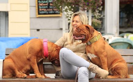 Necesitan espacio: las 10 razas de perros más altos y pesados