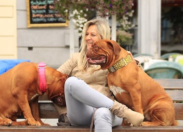 Necesitan espacio: las 10 razas de perros más altos y pesados