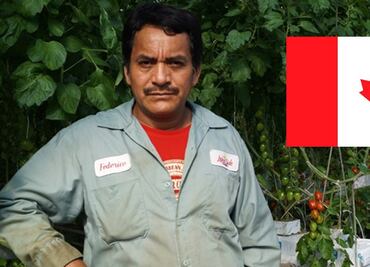 México suspende envío de trabajadores agrícolas a Canadá