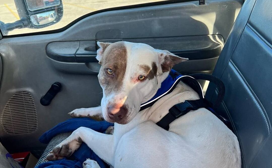 Foto: Facebook Kilgore Police Department 