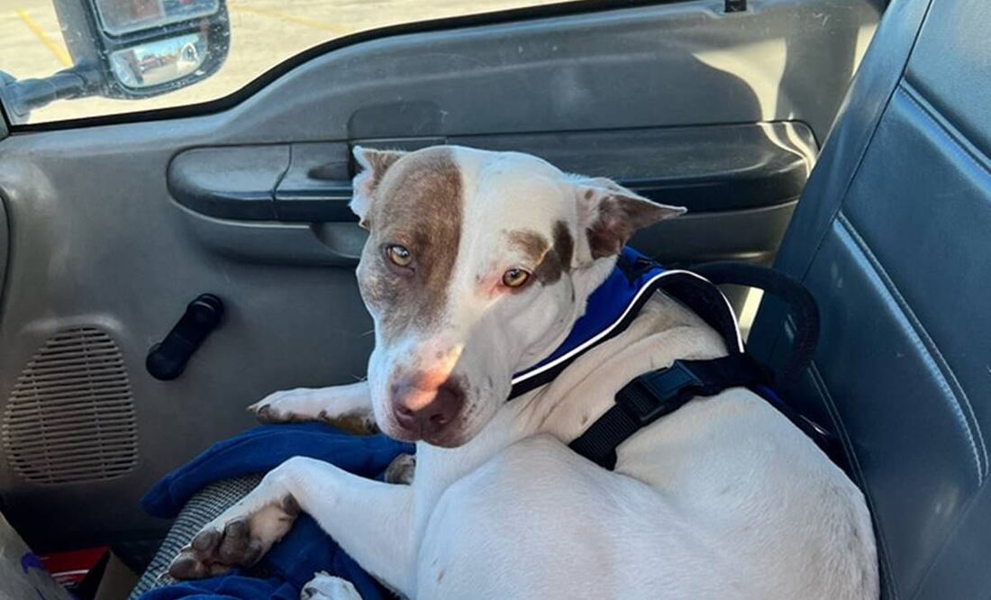 Foto: Facebook Kilgore Police Department